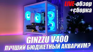 ОБЗОР САМОГО ДЕШЁВОГО КОРПУСА АКВАРИУМА / КРАСИВАЯ СБОРКА НА AM4