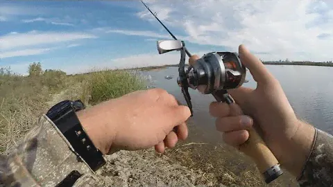 Распаковка и разбор iFishband Tender Shoot.
