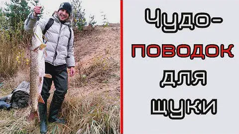 Чудо-поводки для щуки. Быстро удобно и дешево.