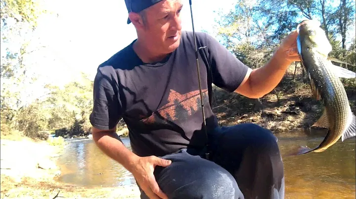 Angler to Angler Fishing! Quick Bites! Rapala Original Floating Minnow! Hybrid Striped/White Bass!