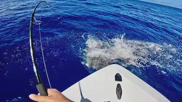 3 Days, Jigging DogTooth Tuna and Slow Pitch