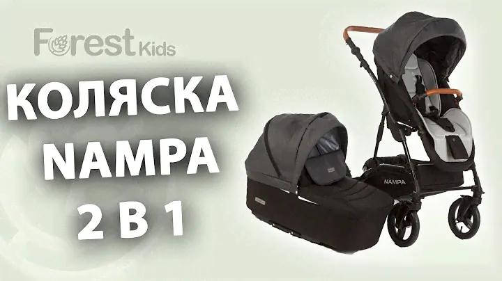 Обзор Коляски Forest kids Nampa 2 в 1. Практичность и комфорт
