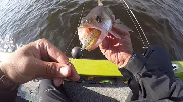 Ловля судака на джиг в Финском заливе. Daiwa Tournament D'Fin.