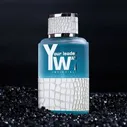 Туалетная вода Your Leader Way "Invincible" мужская, 100 мл