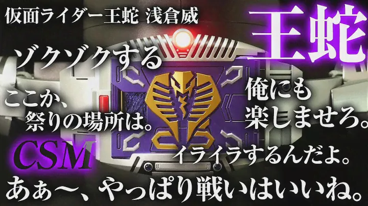 仮面ライダー龍騎 【CSM Vバックル 仮面ライダー王蛇 台詞音声】 COMPLETE SELECTION MODIFICATION V BUCKLE