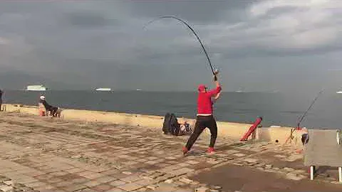 Shimano Surf Leader + Shimano Fliegen SD