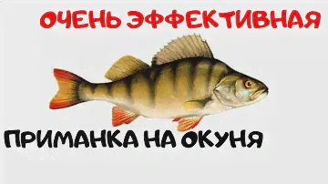 ХОРОШИЙ СТРИМЕР И  ВСЕГДА БУДЕШЬ С РЫБОЙ