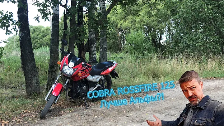 COBRA CROSSFIRE 125. Лучше Альфы?!