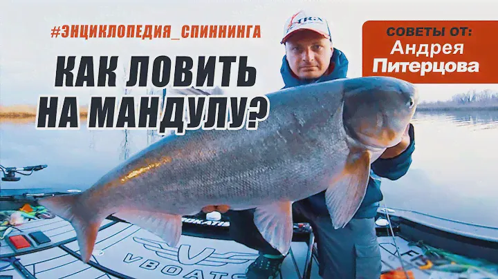 Энциклопедия спиннинга. МАНДУЛА. Посмотри и вопросов больше не останется!