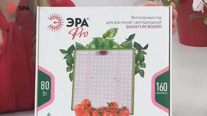 Фитопрожектор для растений светодиодный ЭРА FITO-80W-LED-QB Quantum board