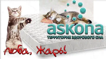 Вся правда об Askona. Молчать невозможно покупать или нет. Матрас Askona trend roll. Возврат