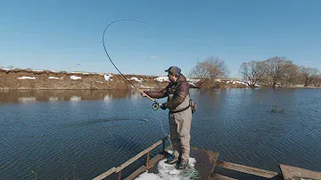 Работа коротким скагитом (Skagit) с  длинным удилищем.