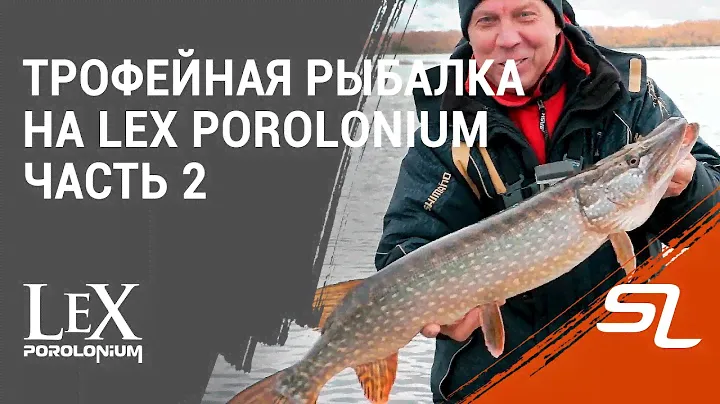 Ловля ТРОФЕЕВ в жестком коряжнике. Поролон на офсетном крючке. Часть 2.