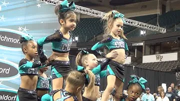 Cheer Extreme Raleigh Tiny Turtles 2015 Showcase