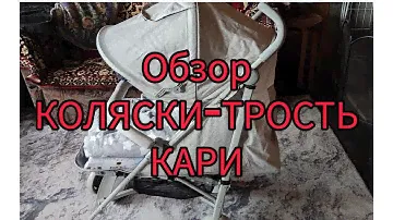 ОБЗОР КОЛЯСКИ-ТРОСТЬ "КАРИ"