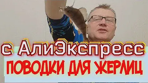 поводки для жерлиц.с двойником.с АлиЭкспресс.очень не дорогие, доступные, очень надёжные.Топ