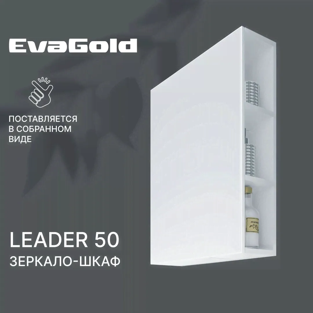 Зеркало для ванной со шкафом EvaGold Leader 50 белое
