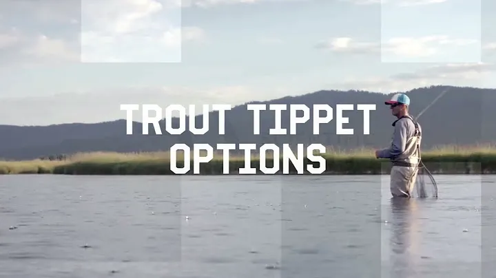 Absolute Trout Tippet Options