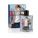 City Parfum Туалетная вода 3D Leader мужская, 90 мл