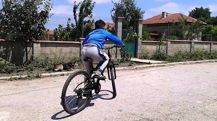 КАНТАРЕНЕ С БОБЧО И НЕГОВИЯТ LEADER DOBERMAN