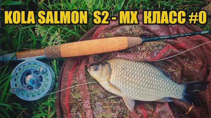 KOLA SALMON  S2 MX  КЛАСС #0