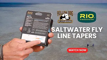 Saltwater Fly Line Tapers With RIO's Chris Walker